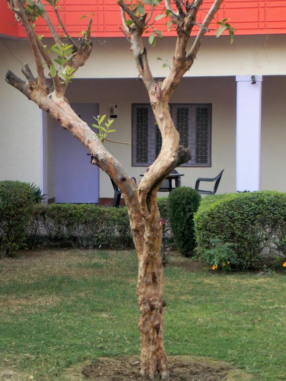 Hotel Goverdhan Tourist Complex Fatehpur Sīkri Zewnętrze zdjęcie